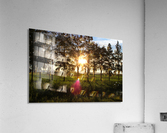 Cypress Sunset Acrylic Print