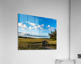 Driftwood Marsh Acrylic Print
