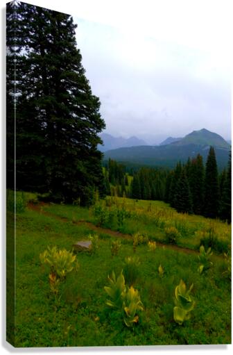 Misty Mountain Trail Canvas Print