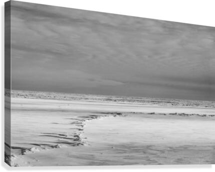 A Different Planet B&W Canvas Print