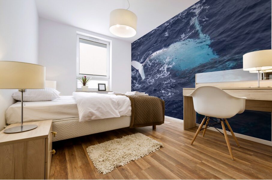 Humpback Whale Rolling Mural print