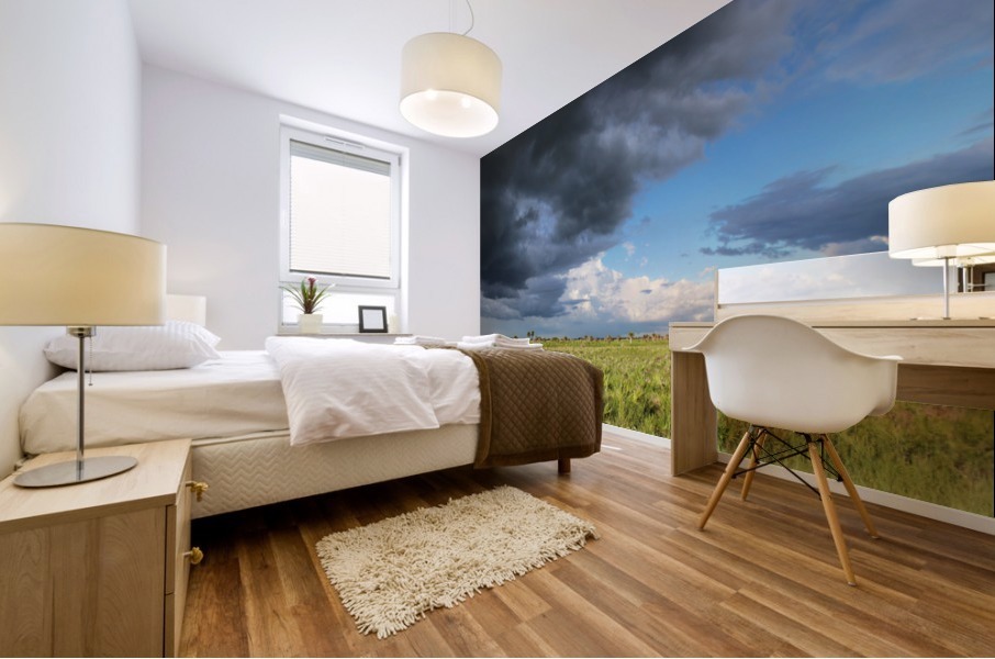 Rolling Thunder Mural print