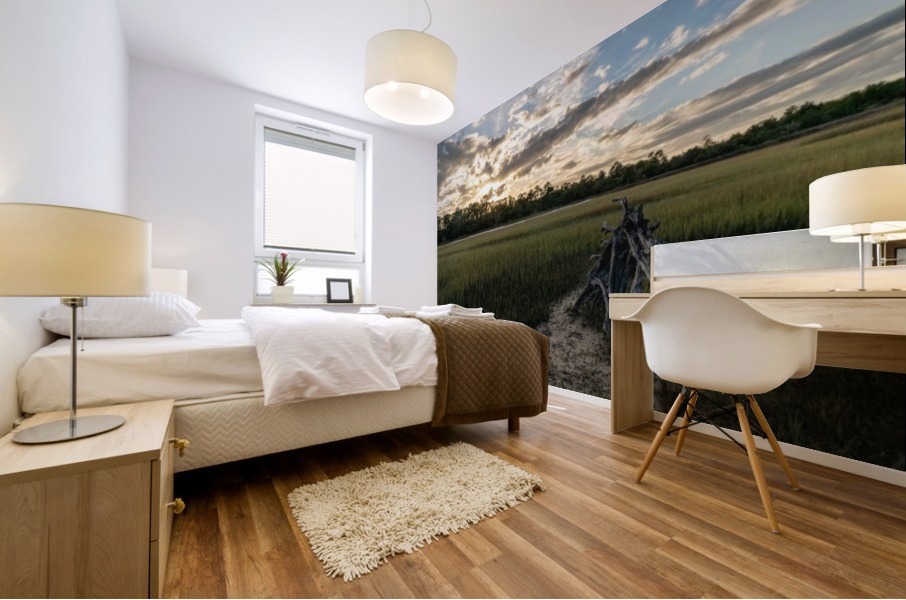 Driftwood Sunset Mural print