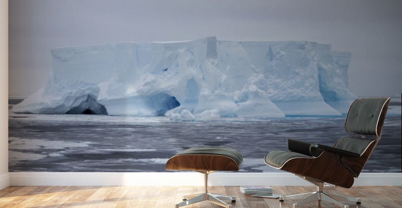 Elephant Iceberg Wall Murals