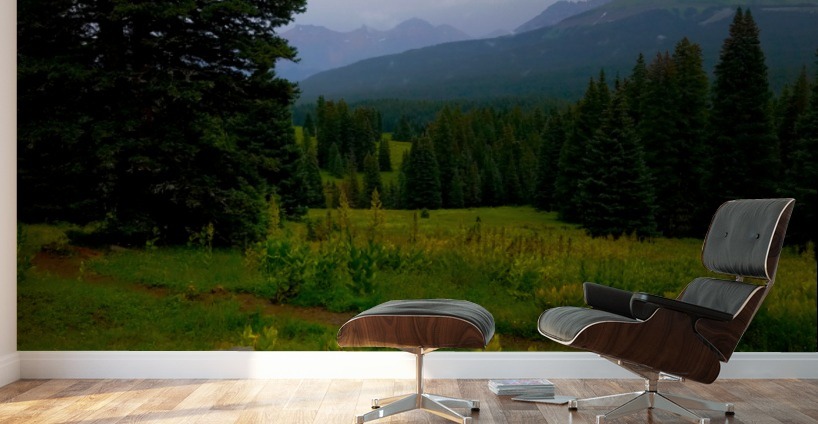 Misty Mountain Trail Wall Murals