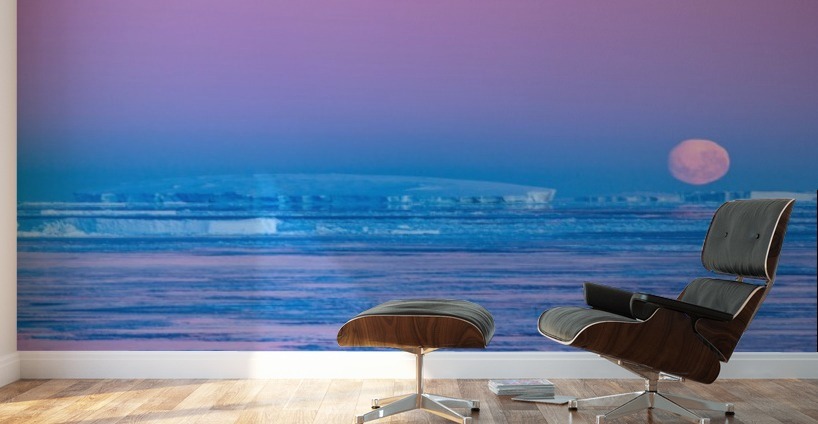 Low Moonset Close Up Wall Murals