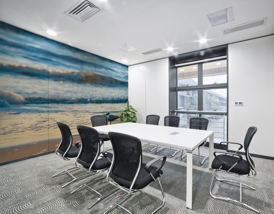 Royal Tern Wall Printing