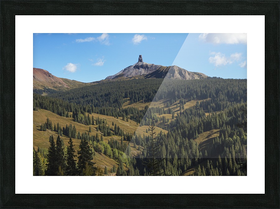 Lizard Head Picture Frame print