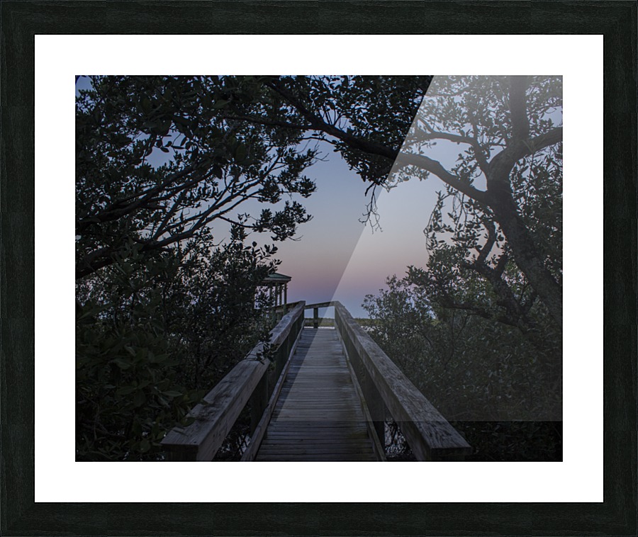 Passage to the Marsh Picture Frame print