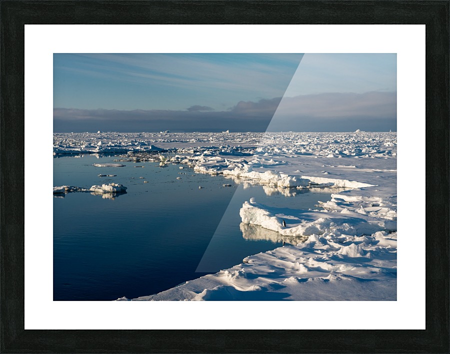 Adele on the Edge Picture Frame print