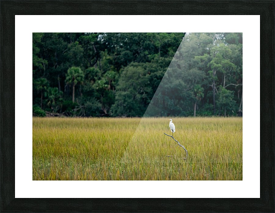 Standing Guard Picture Frame print