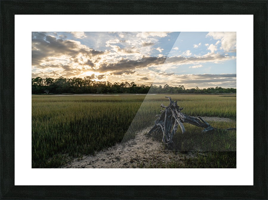 Driftwood Sunset Picture Frame print