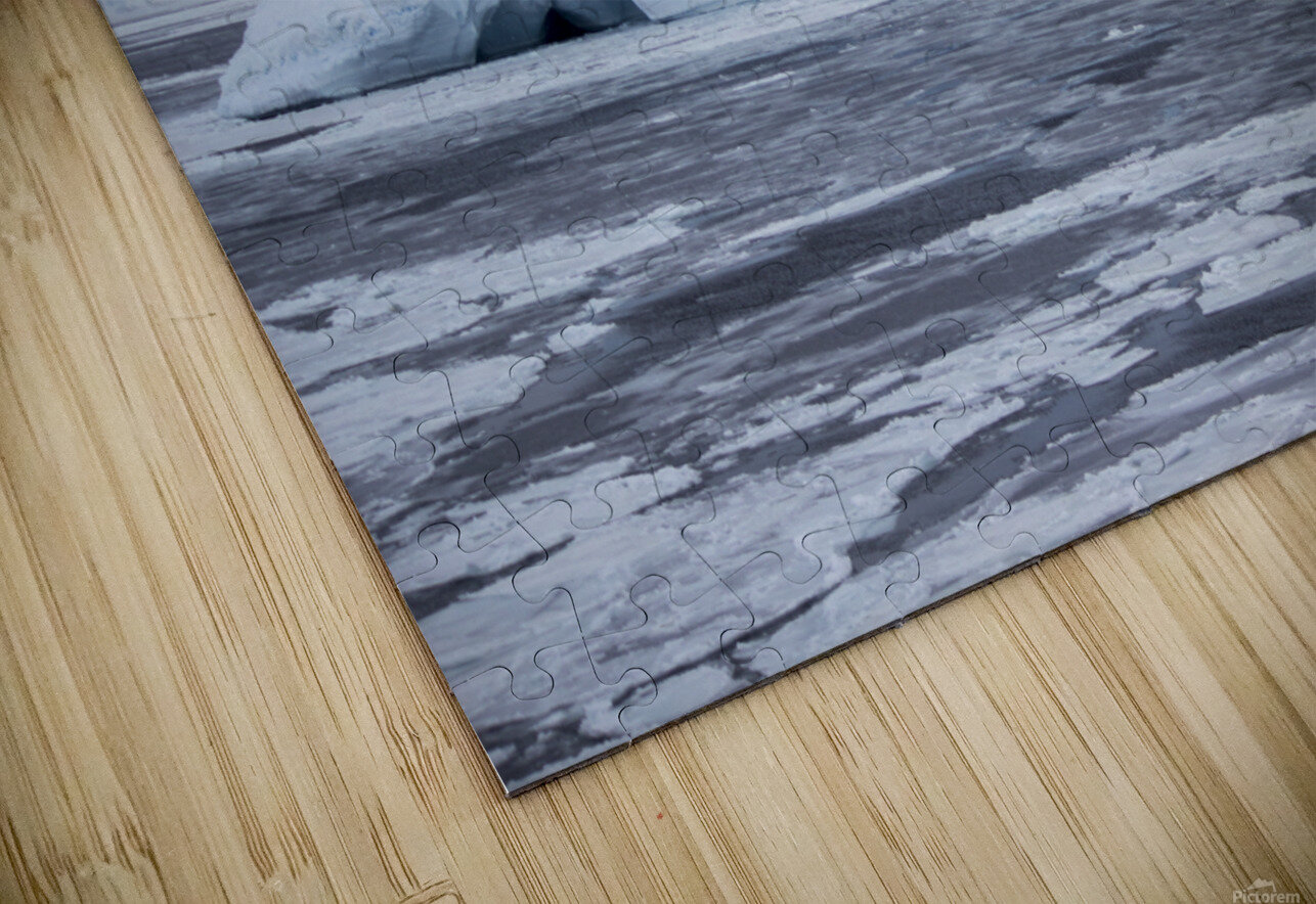 Elephant Iceberg Peter Kaple Puzzle