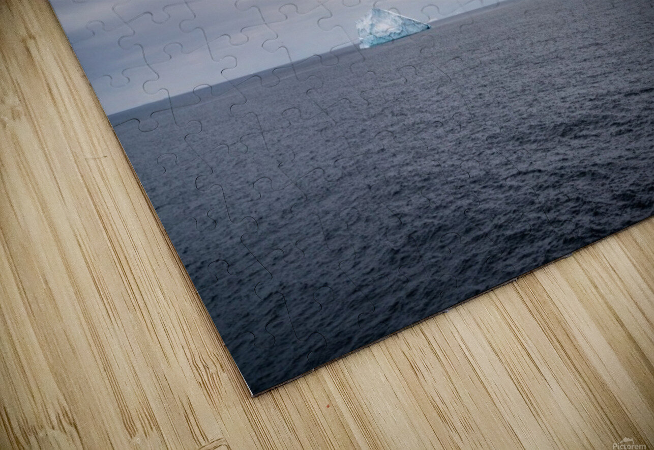 Lonely Iceberg Peter Kaple Puzzle