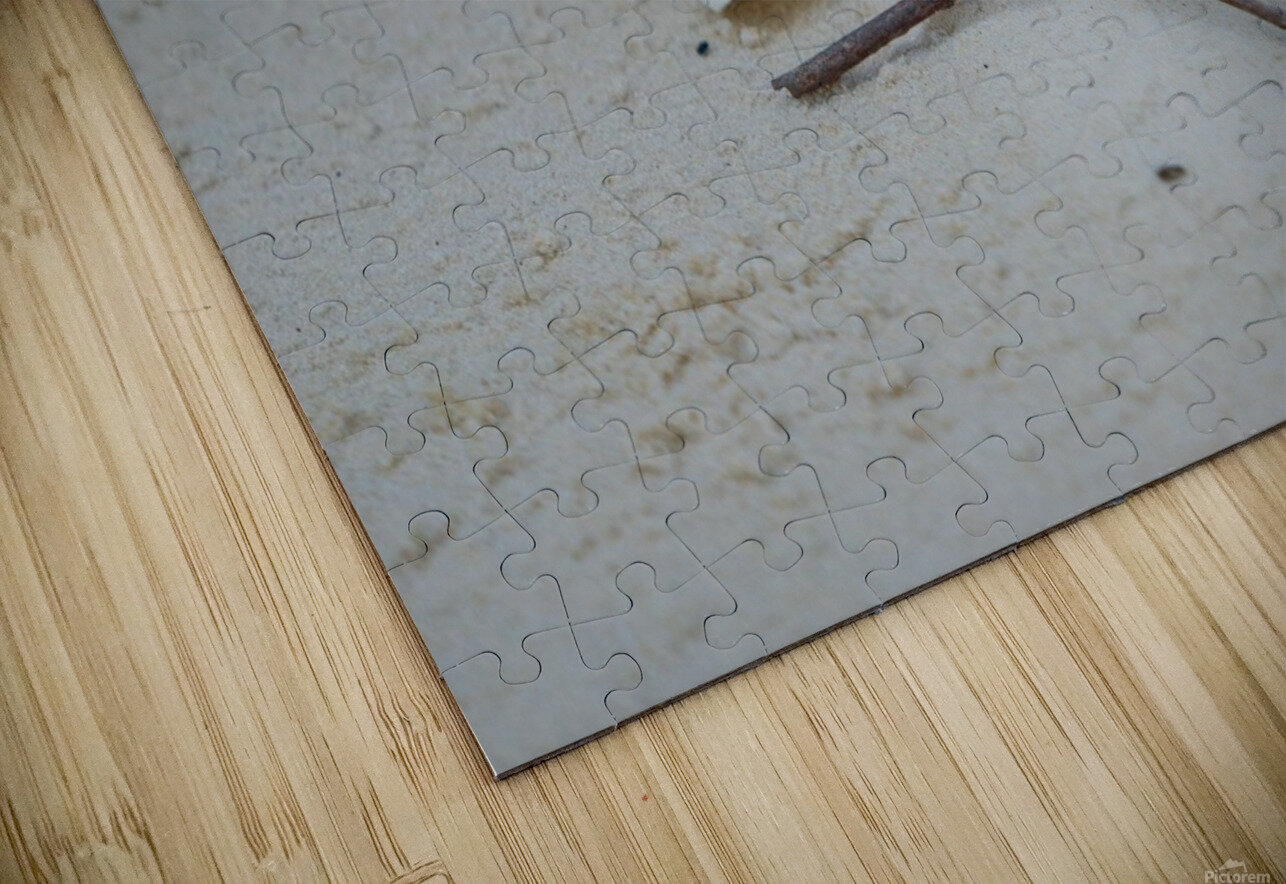 Fiddler Crab Peter Kaple Puzzle