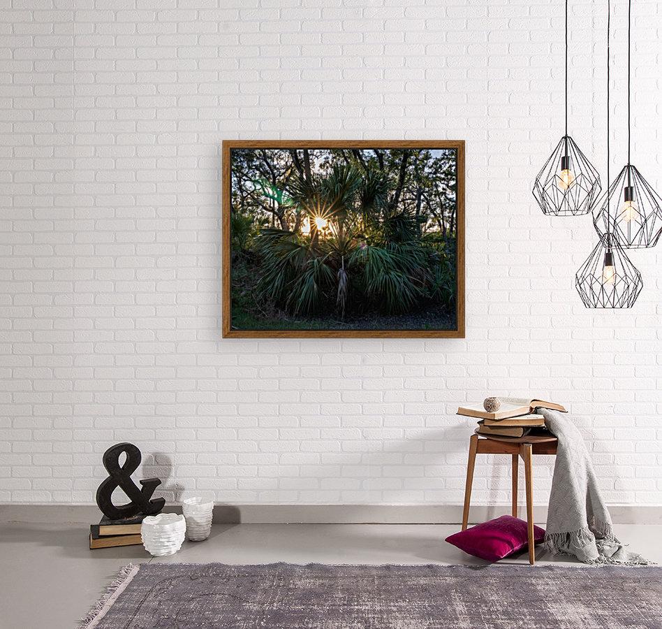 Sunset Through a Palmetto Reproduction