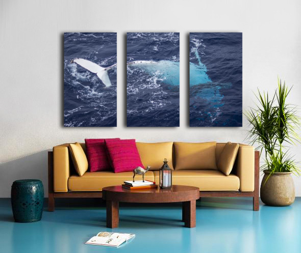 Humpback Whale Rolling Split Canvas print