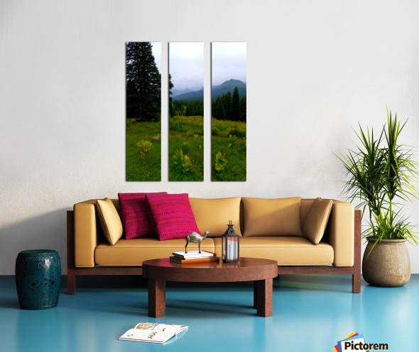 Misty Mountain Trail Split Canvas print