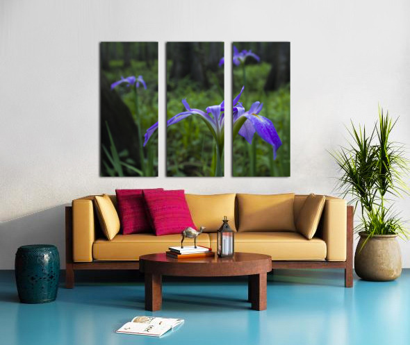 Dixie Iris Close Up Split Canvas print