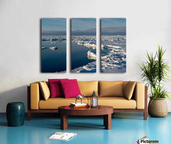 Adele on the Edge Split Canvas print