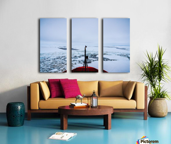 Bow Shot 2 Split Canvas print