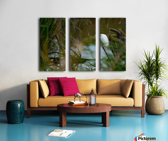 Snowy Egret Split Canvas print