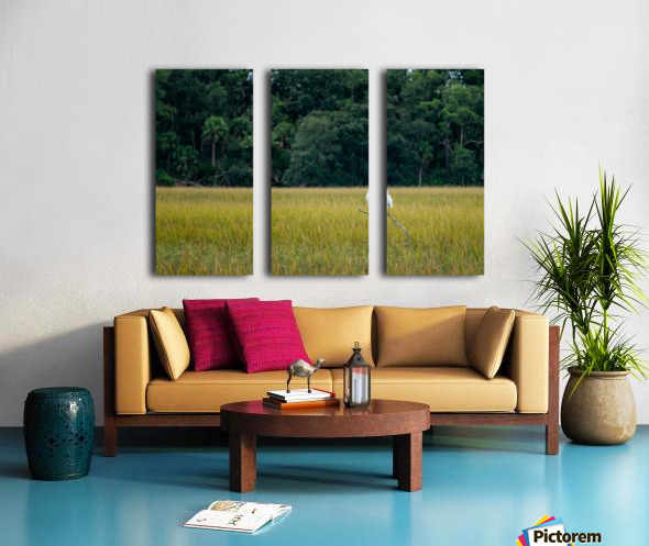 Standing Guard Split Canvas print