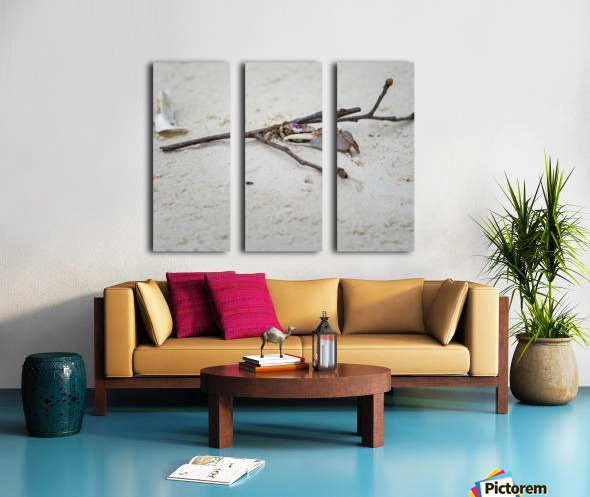 Fiddler Crab Split Canvas print