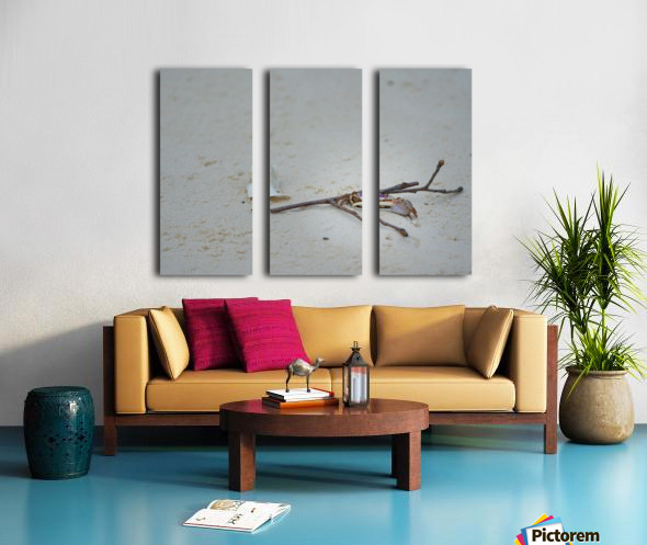 Fiddler Crab Split Canvas print