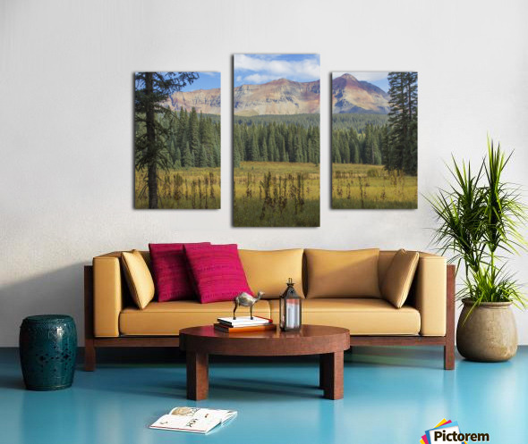 Range Through the Trees Canvas print