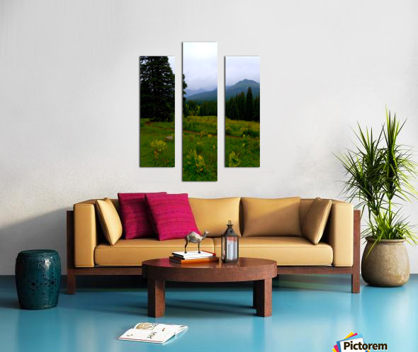 Misty Mountain Trail Canvas print