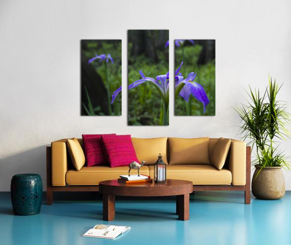Dixie Iris Close Up Canvas print