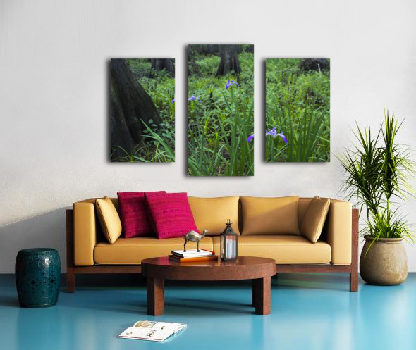 Dixie Iris Canvas print