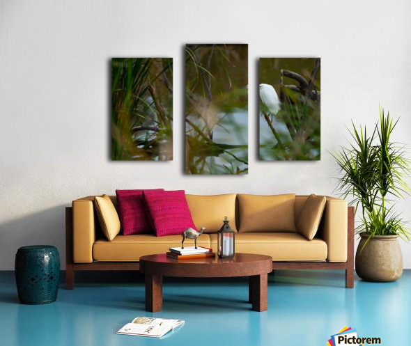 Snowy Egret Canvas print