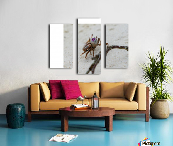 Fiddler Crab Canvas print