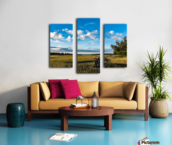 Driftwood Marsh Canvas print