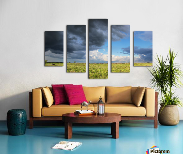 Canvas print