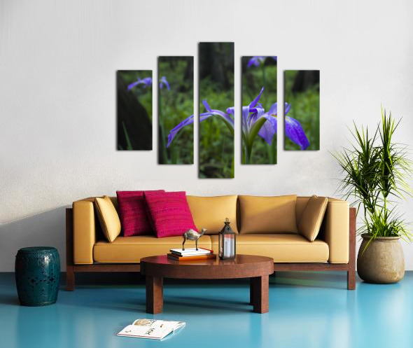 Canvas print