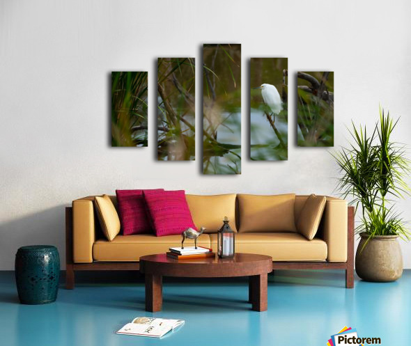 Canvas print