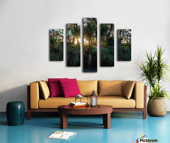 Canvas print