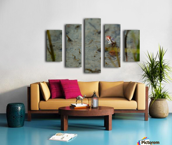 Canvas print
