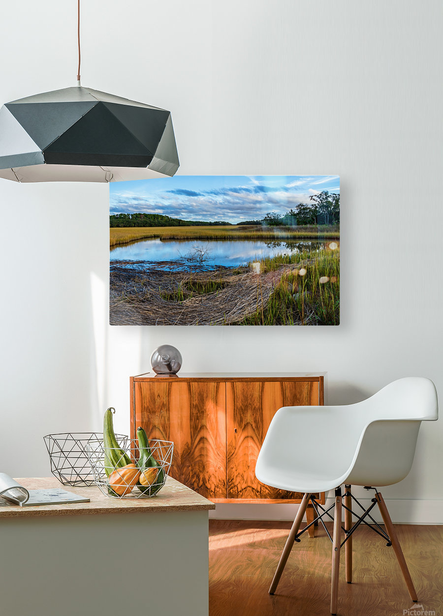 Tidal Pool  HD Metal print with Floating Frame on Back