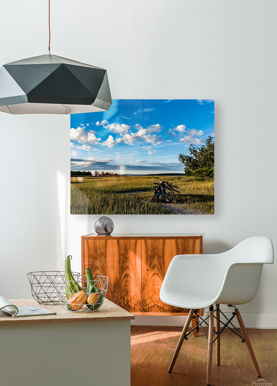 Driftwood Marsh  HD Metal print with Floating Frame on Back