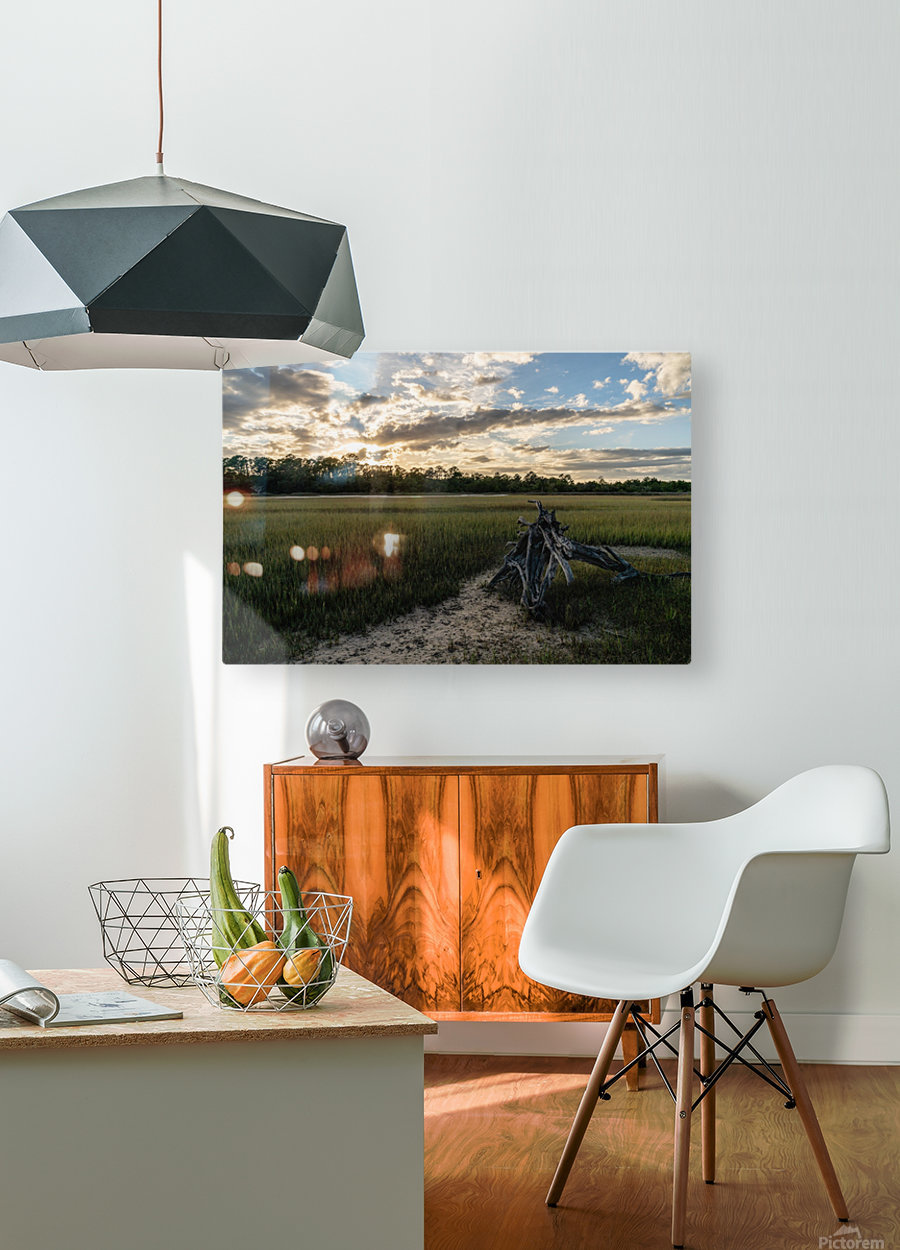 Driftwood Sunset  HD Metal print with Floating Frame on Back