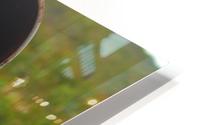Hunt Card Pick Up HD Metal print