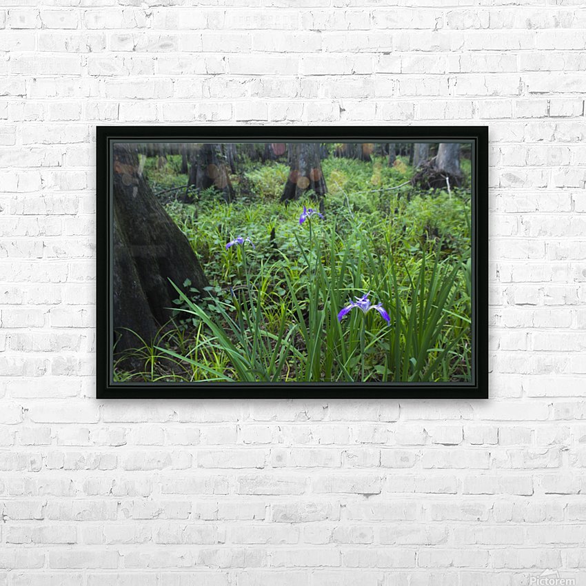 Dixie Iris HD Sublimation Metal print with Decorating Float Frame (BOX)