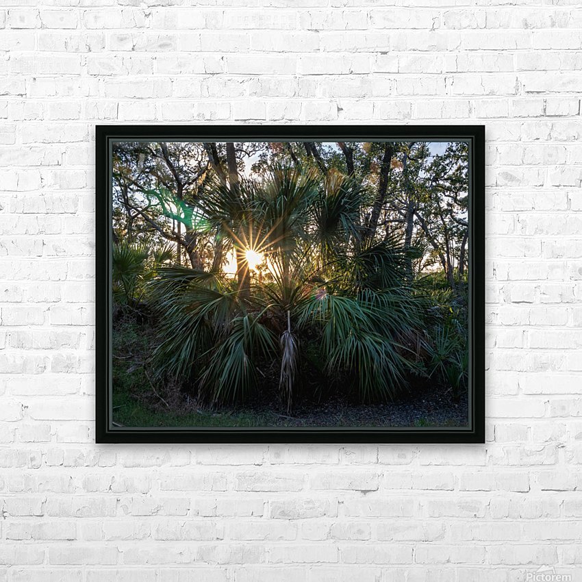 Sunset Through a Palmetto HD Sublimation Metal print with Decorating Float Frame (BOX)