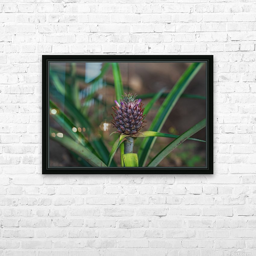 Baby Pineapple 3 HD Sublimation Metal print with Decorating Float Frame (BOX)