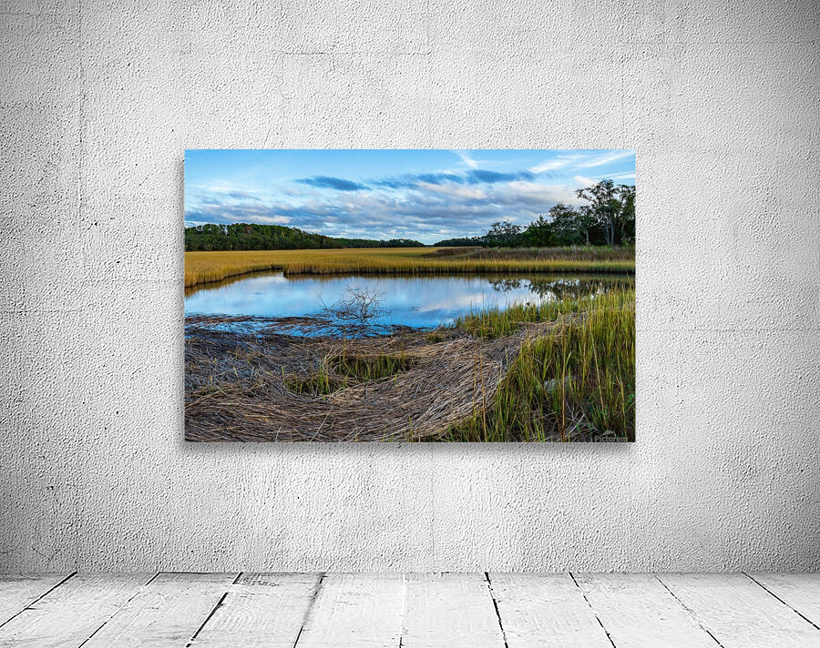 Tidal Pool Wall Preview