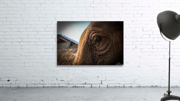 4U1A1342 Wall Preview